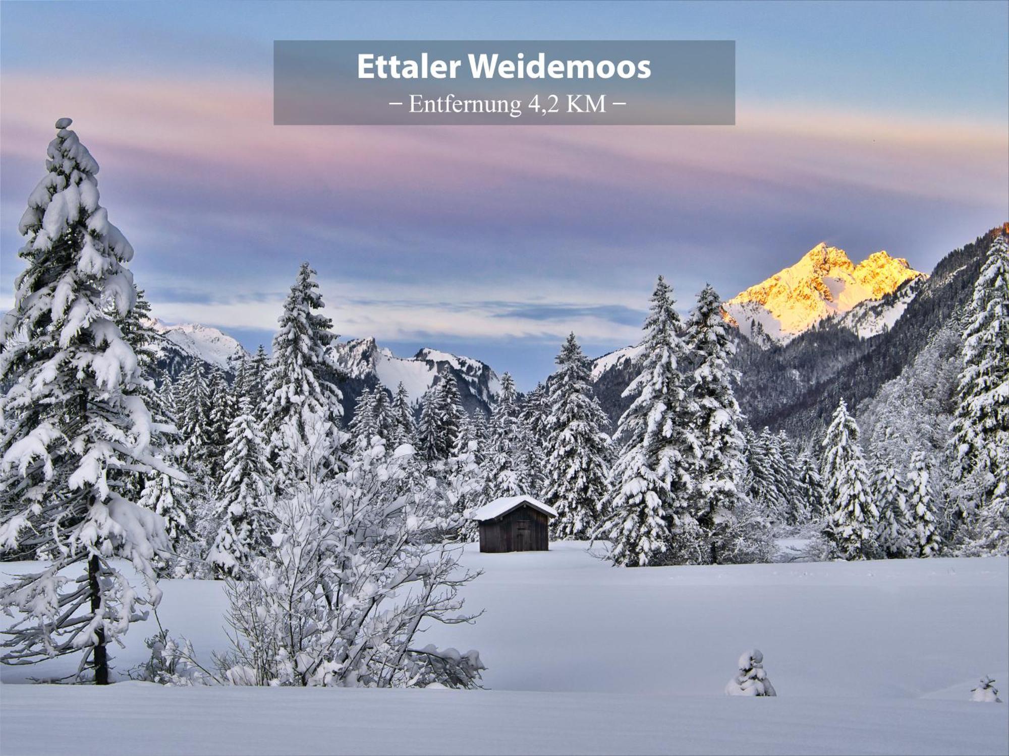 Montana - Ferienwohnung Am Laber Обераммергау Экстерьер фото